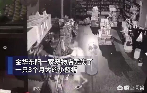 午夜0时的吻在线观看影院_午夜0时的吻在线下载