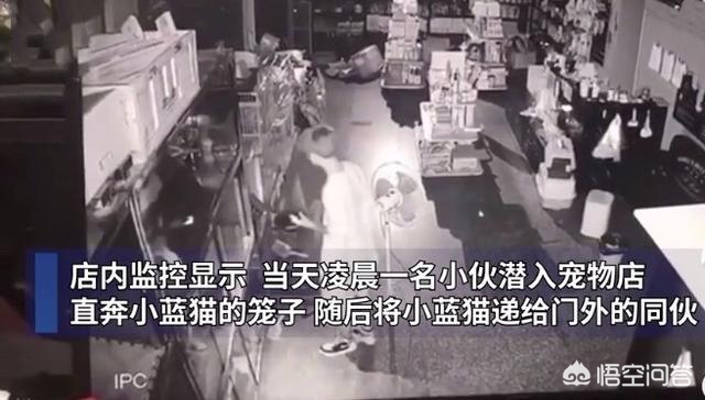 午夜0时的吻在线观看影院_午夜0时的吻在线下载
