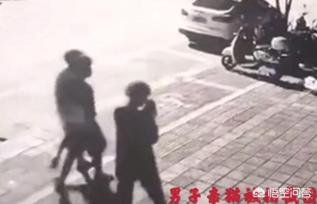 午夜0时的吻在线观看影院_午夜0时的吻在线下载