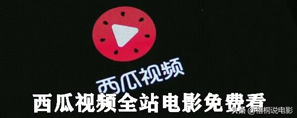 免费看影视播放器下载_影视播放器下载免费