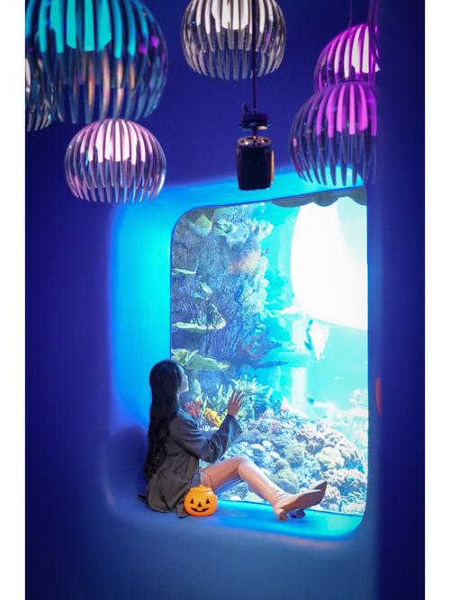 梦幻海底进不去_梦幻海底进不去怎么办