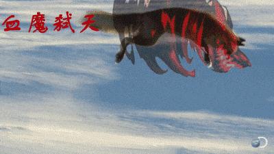 dnf电台_dnf电台在线收听 dnf电台_dnf电台在线收听