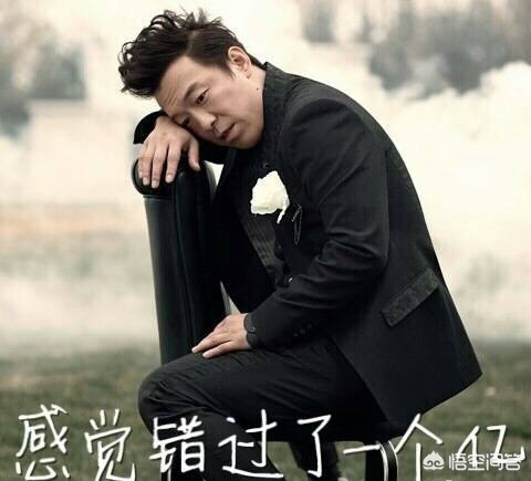 华语影院_华语mⅴ高清