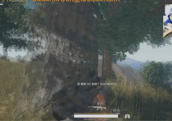 55直播_55直播体育直播NBA直播