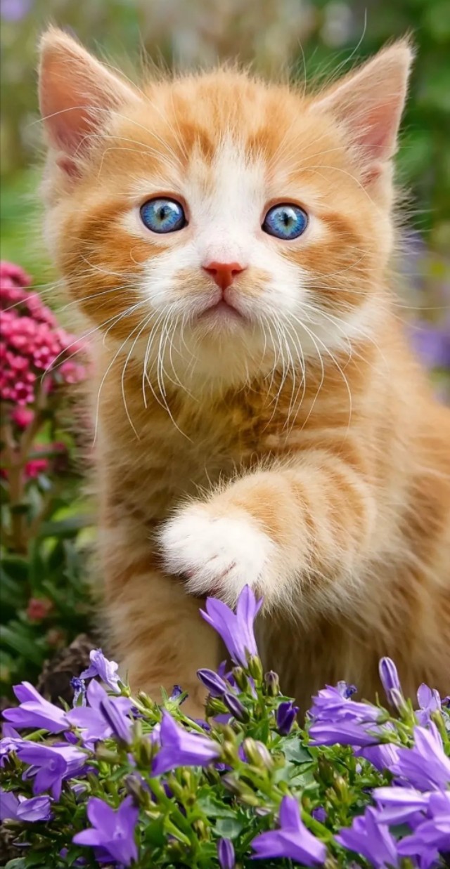 解落三秋叶能开二月花写的是什么_解落三秋叶能开二月花写的是什么季节