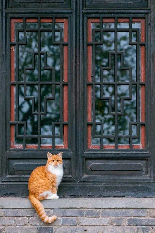 解落三秋叶能开二月花写的是什么_解落三秋叶能开二月花写的是什么季节