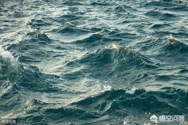 解落三秋叶能开二月花写的是什么_解落三秋叶能开二月花写的是什么季节