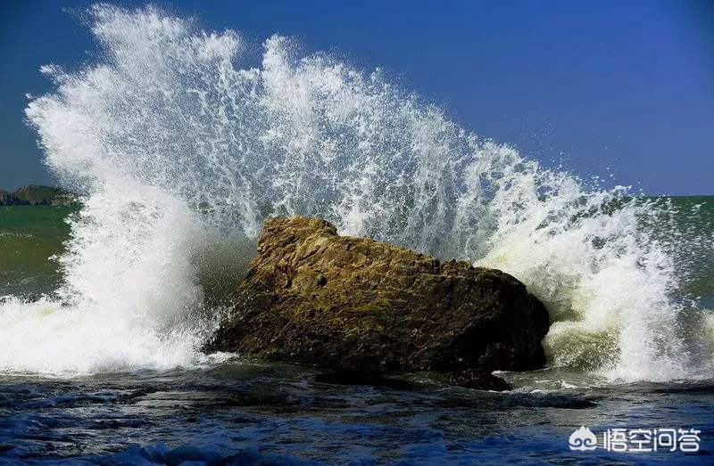 解落三秋叶能开二月花写的是什么_解落三秋叶能开二月花写的是什么季节