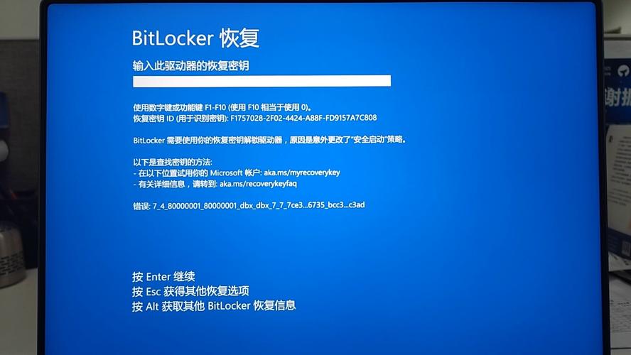 lol崩溃_win11预览更新后lol崩溃