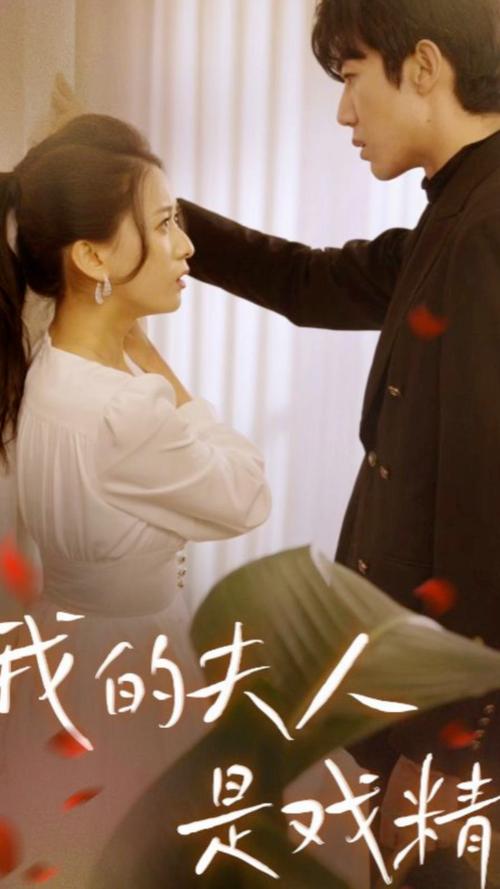 高清影院_高清影院免费观看电视剧电影