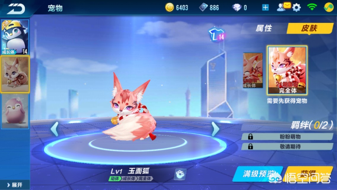 qq飞车宠物名字_qq飞车宠物名字有哪些 qq飞车宠物名字_qq飞车宠物名字有哪些