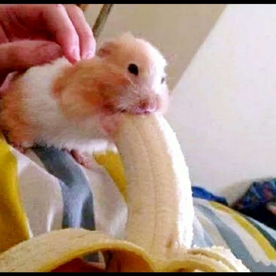 魔兽真三之神级小兵_魔兽真三之神级小兵TXT下载